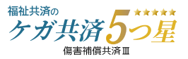 ケガ共済5つ星 傷害補償共済Ⅲ