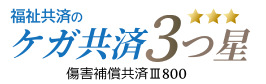 ケガ共済3つ星 傷害補償共済Ⅲ800